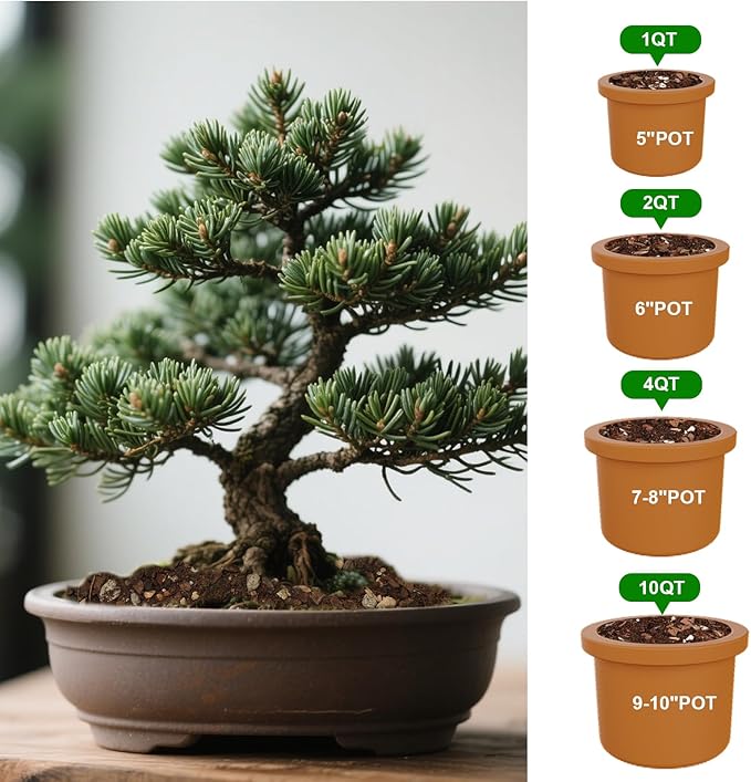 Doter Premium Bonsai Soil Mix with Enhanced Aeration & Drainage 2qt - Professional Grade Potting Soil for Bonsai Pots