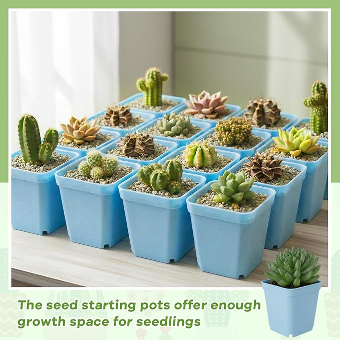 Yaomiao 200 Pack 3 Inch Blue Nursery Pot Square Flower Pots Plastic Plant Succulent Planter Seed Starting Pots with Drainage Holes for Garden Office Balcony Decor Indoor Outdoor Plant Seedling