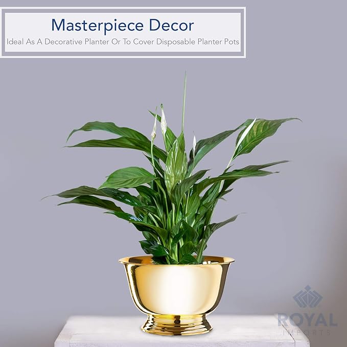 Royal Imports 6" Decorative Plastic Planter Pedestal Bowl- Flower Pot Cover, Footed Succulent Dish for Wedding, Party, Garden, Home and Holiday Decor, Gold, 2 Pack