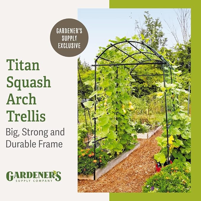Gardener’s Supply Company Extra Tall Garden Arch Arbor | 80 Inch Tall Titan Squash Tunnel | Lightweight Metal, Trellis Plant Stand for Climbing Vines | Outdoor Lawn Tower & Support Structure