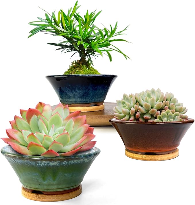 6 Inch Glazed Terracotta Succulent Pot Planter Small Plant Pot with Drainage Hole and Bamboo Saucer Cactus Ceramic Pot Set of 3 (Blue Green Orange)