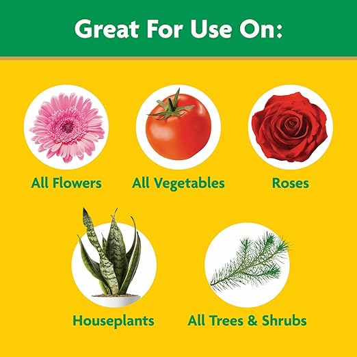Miracle-Gro Water Soluble All Purpose Plant Food - Fertilizer For All Indoor or Outdoor Plants including Roses, Flowers, Vegetables, Houseplants, Trees, and Shrubs, 10 lbs.