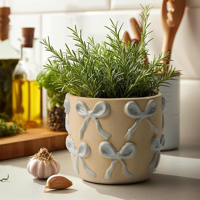 Ceramic Flower Pots for Indoor and Outdoor Plants, Succulent Orchid Round Clay and Terracotta Planter for Garden Home Modern Decoration 5.3 Inch (Blue Bow, Without Saucers)