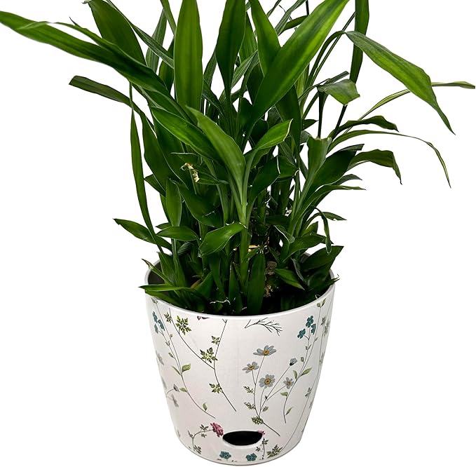 7” Self-Watering Pot – Eco-Friendly Bamboo Planter, Biodegradable & Plastic-Free, Indoor/Outdoor Plant Pot with Built-in Water Well for Healthy Root Growth