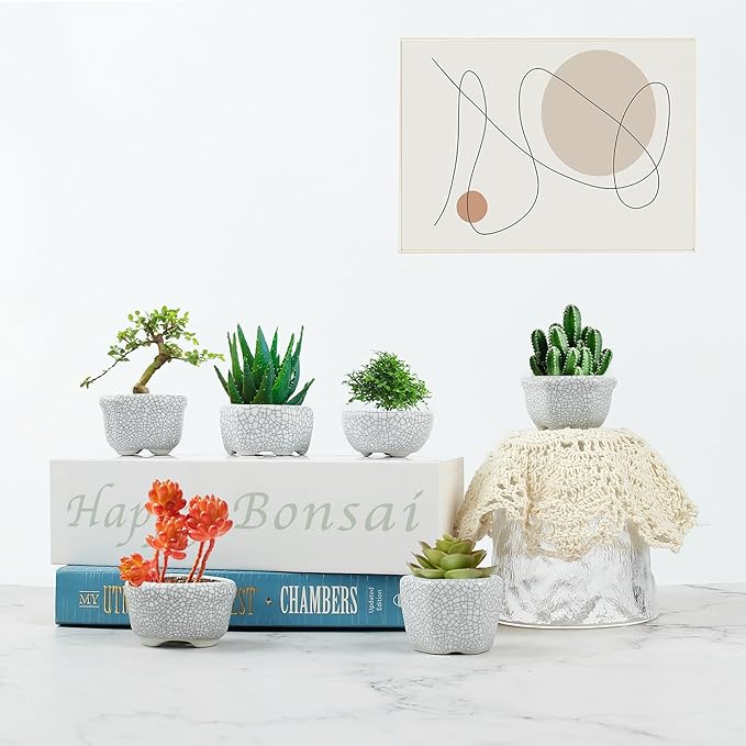 Bonsai Planter 1.8 inch (4.5cm) Mini Succulent Glazed Pots Set of 6 Gray White