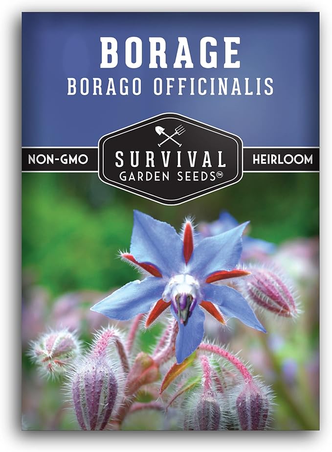 Survival Garden Seeds - Borage Seed for Planting - Packet with Instructions to Plant and Grow Beautiful Medicinal Herb in Your Home Vegetable Garden - Non-GMO Heirloom Variety - Attracts Pollinators