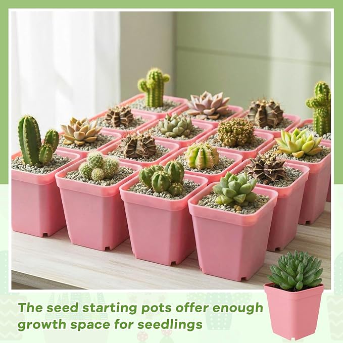 Yaomiao 200 Pack 3 Inch Pink Nursery Pot Square Flower Pots Plastic Plant Succulent Planter Seed Starting Pots with Drainage Holes for Garden Office Balcony Decor Indoor Outdoor Plant Seedling