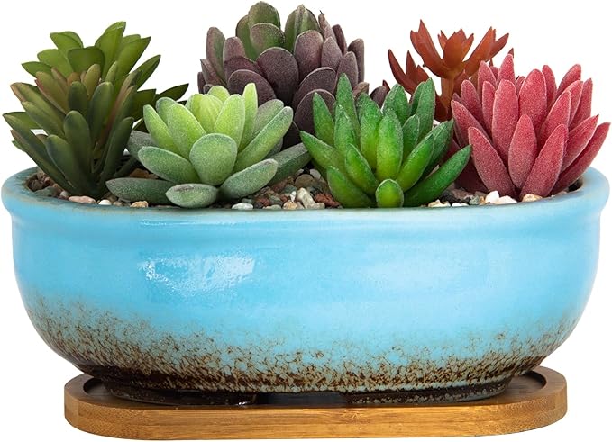 ARTKETTY Succulent Pots, 7.9 Inch Large Succulent Planters with Drainage Tray, Shallow Planters for Indoor Plants Ceramic Cactus Pots Glazed Bonsai Flower Plant Container for Home Windowsill Decor