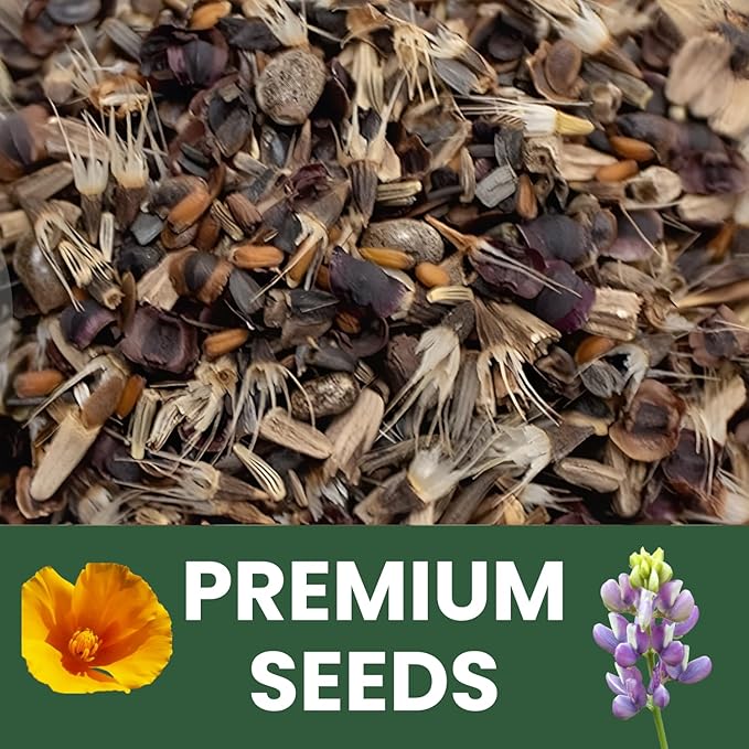 All Annual Quick Blooming Mix - 3,000 Flower Seeds for Planting - Wildflower Mix - 5 Gram Pouch