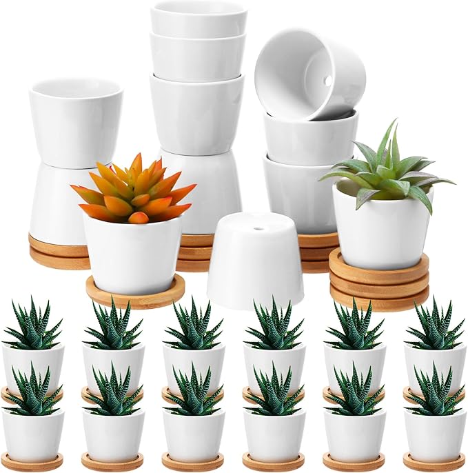 Hsei 24 Pack 2.5 Inch Mini Succulent Plant Pots Small Ceramic Flower Pot with Bamboo Tray Garden Cactus Herb Container Home Office Decoration for Birthday Mother's Day Wedding Favor Gifts (White)