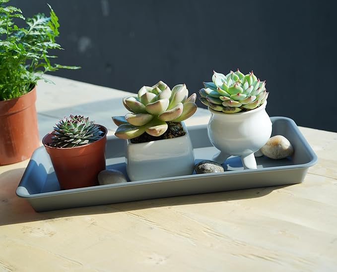 VUWEZ 2 Pack of Plastic Plant Tray Saucer Rectangular 24 inch, Plant Trays Saucers for Indoors Outdoor, Plant Water Drip Tray for Flower Pot Planter, Windowsill Plant Tray (8 X 24'', Gray)