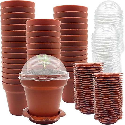 PURPLE STAR 1N 50 Packs Cupcake Plant Nursery Pots with Humidity Dome- Planting Containers Cups- Small Flower Pots with Trays & Lids for Indoor Outdoor Seedling Succulent Vegetable (Wine Red)