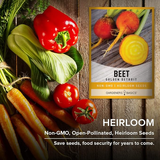 Gardeners Basics, Beet Seeds for Planting Golden Detroit Heirloom Non-GMO Golden Beets Plant Seeds for Home Garden Vegetables Makes a Great Gift for Gardeners