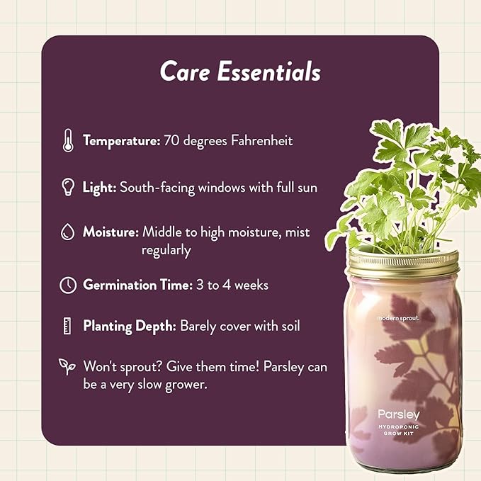 Modern Sprout Mason Garden Jar - Self-Watering Hydroponics Growing System Kit with Organic Herb Seeds - Jar Planter for Indoor Herb Garden - Seed Starter Kit - Home Decor & Gifting - Parsley