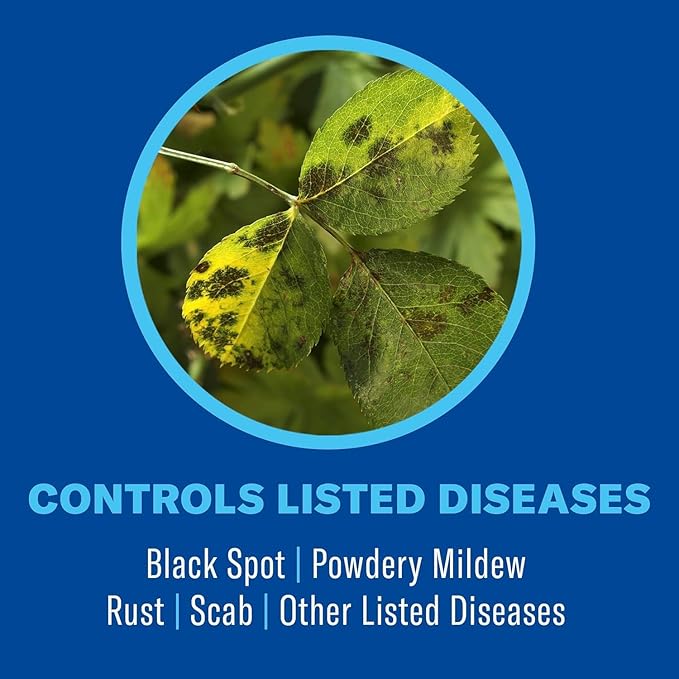 BioAdvanced All-In-One Rose and Flower Plant Care Spray - Insect Control, Disease Control & Plant Mite Killer - Ready-to-Use - Prevents Pests and Diseases - Up to 14 Days Protection - 24 fl oz Bottle