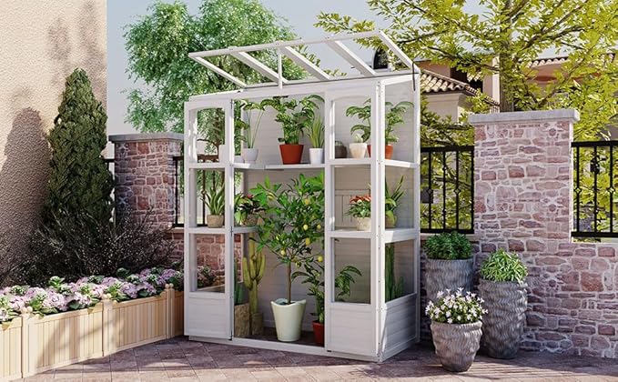 Walk-in Greenhouse for Outdoor 78 Inch Wooden Green House Cold Frame with 2 Doors 4 Openable Independent Skylights 2 Folding Middle Shelves Heavy Duty Plant Gardening Green House for Backyard, White
