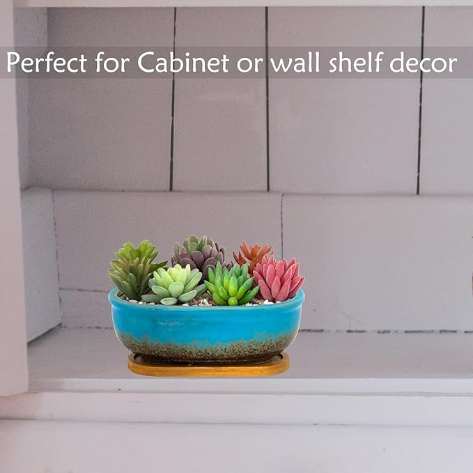 ARTKETTY Succulent Pots, 7.9'' Large Ceramic Pots for Indoor Cactus Plants, Shallow Succulent Planters with Drainage Tray, Oval Bonsai Plant Container Bowl Garden Home Windowsill Decor