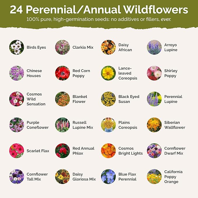 Eden Brothers Oklahoma Wildflower Mixed Seeds for Planting, 1 lb, 480,000+ Seeds with Lupine, WallFlower | Attracts Pollinators, Plant in Spring or Fall, Zones