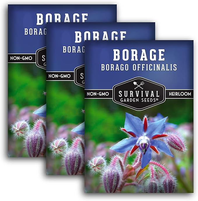 Survival Garden Seeds - Borage Seed for Planting - 3 Packs with Instructions to Plant and Grow Beautiful Medicinal Herb in Your Home Vegetable Garden - Non-GMO Heirloom Variety - Attracts Pollinators