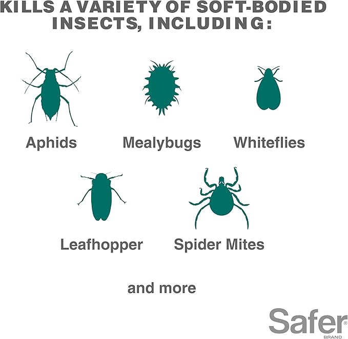 Safer 5118-6 Insect Killing Soap Concentrate - Insecticidal Soap for Plants - Kills Aphids, Whiteflies, Thrips, Spider Mites, and More - OMRI Listed for Organic Use