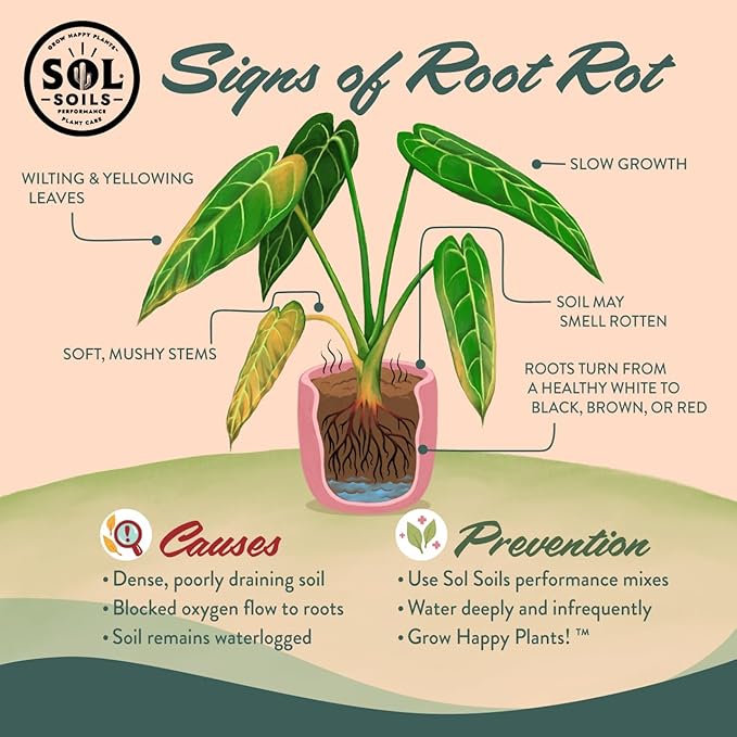 Sol Soils Chunky Perlite for Plants - Lightweight, All-Natural Volcanic Glass Soil Amendment to Improve Drainage & Aeration – 1 Quart