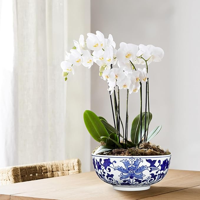 Hollyone Set of 2 Blue and White Vase Porcelain Planters 7 + 9 inch Garden Bowl Modern Ceramic Pots Classic Chinese Floral Vase for Indoor Outdoor Succulents Bonsai Fairy Gardens Herbs