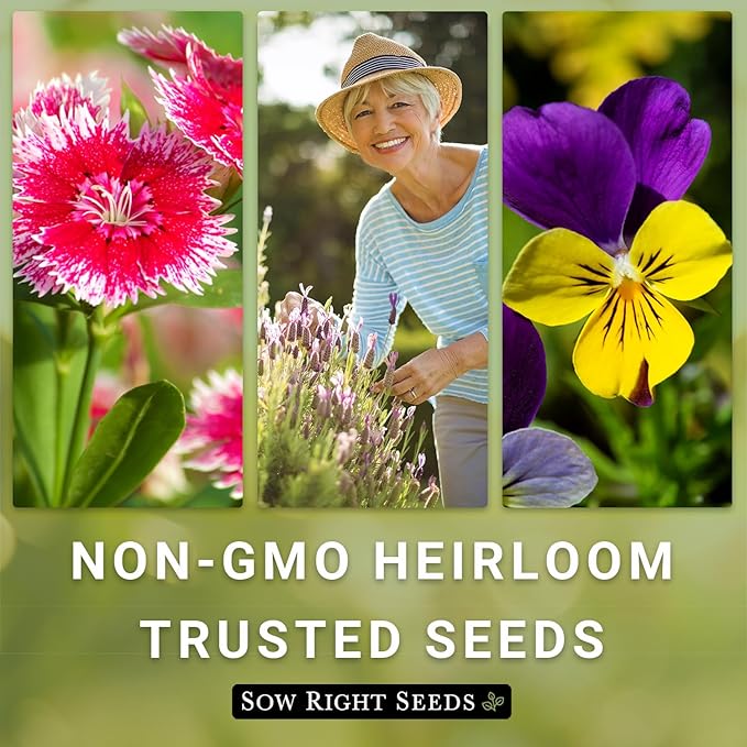 Sow Right Seeds - Dwarf Mixed Petunia Seeds to Plant - Full instructions for Planting and Growing a Flower Garden - Non-GMO Heirloom Seeds - Annual Hanging Basket Flower - Wonderful Gardening Gift (4)