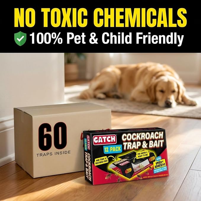 GATCH Roach Traps Indoor (60 Pack), Sticky Baited Cockroach Traps, Roach Killer Indoor Infestation, Adhesvie Glue Traps for Roaches, Insects, Home Bug Ant Spider Cricket, Child & Pet Friendly