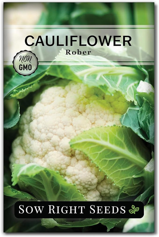 Sow Right Seeds - Rober Cauliflower Seeds for Planting - Non-GMO Heirloom Packet with Instructions to Plant & Grow an Outdoor Home Vegetable Garden - Climate Adaptable with Large Heads (1)