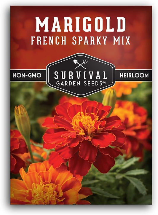 French Sparky Marigold Seeds for Planting - Plant & Grow Red & Orange Patula Flowers in Your Home Vegetable Garden - Heirloom Non GMO - Survival Garden Seeds (1 Pack)