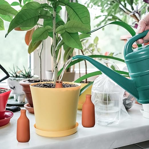 DoubleFill 2 Pcs 18oz Ollas Terracotta Watering Pots Self Watering Planter Insert Terracotta Globes Clay for Outdoor Indoor Garden Plants, Easy to Refill