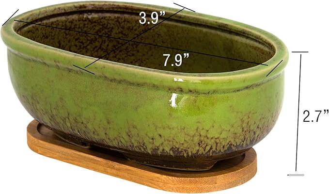 ARTKETTY Succulent Pots - Large Succulent Planters with Drainage Tray, 7.9'' Ceramic Pots for Indoor Cactus Plants, Oval Bonsai Flower Plant Container Bowl Decorative Home Desk Windowsill