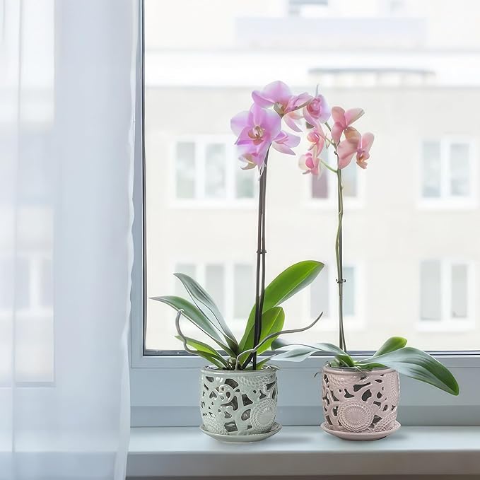 HERDUK Ceramic Orchid Pot, Orchid Pots with Drainage Holes & Saucer 6.5 Inch,Orchid Pot for Repotting Indoor, Orchid Containers with Precise Aeration & Drainage