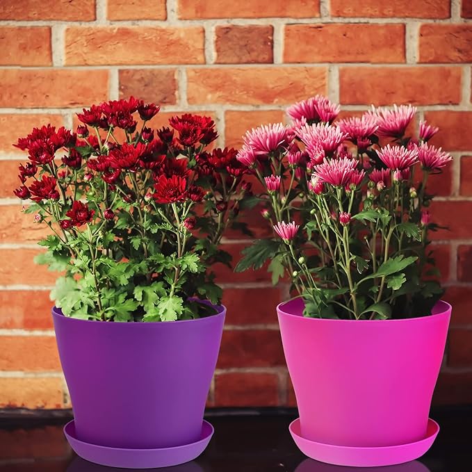 Hahood 20 Pack Plastic Planters 5.5 Inch Plant Flower Pot with Trays, Seedlings Nursery Pots Planter Flower Container Seed Pots for Seedling, Transplanting, Cutting, Assorted 10 Colors