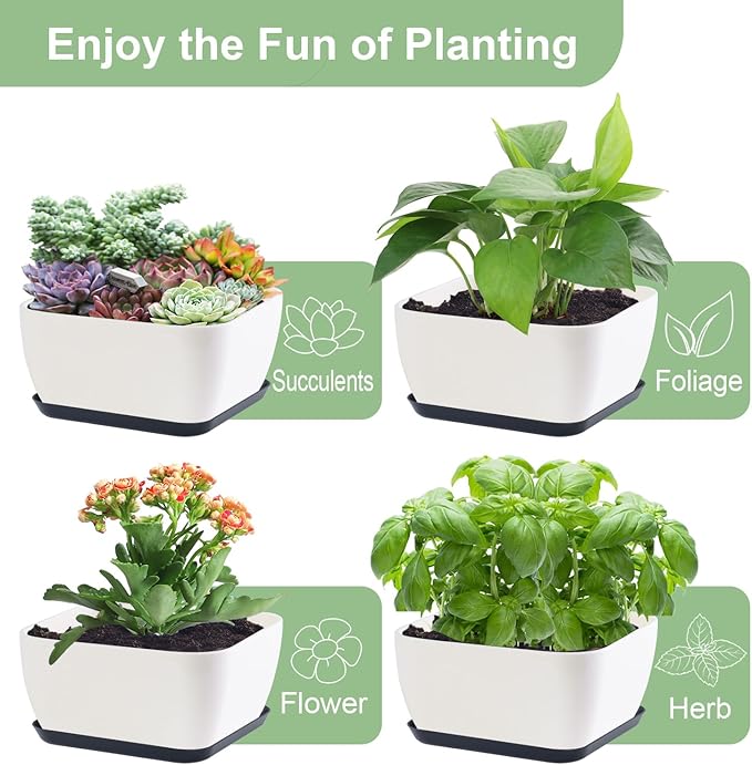 Succulent Pots 6 Inch Shallow Herb Planters with Drainage Hole - 8 Packs Cactus Planter for Home Office Garden Plants Pot Present - Plants Not Included (Off White)