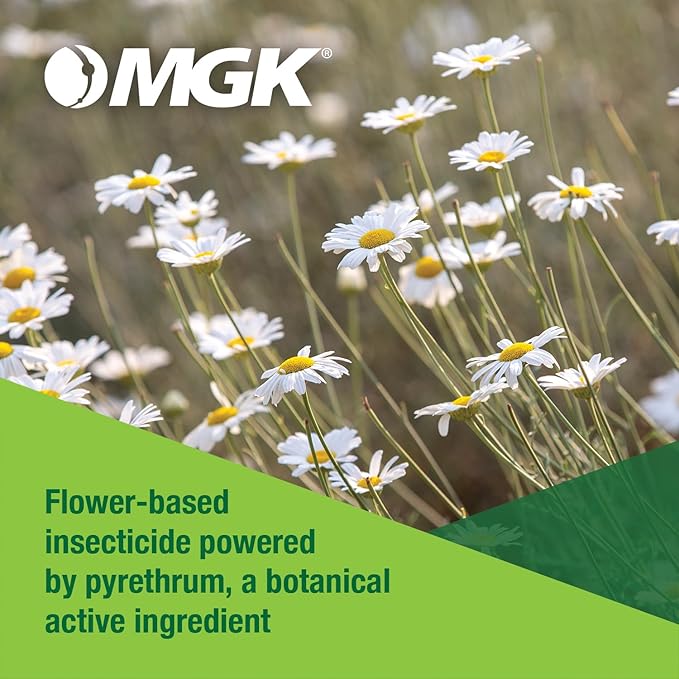 MGK Evergreen® Pyrethrum Concentrate | OMRI Listed for Organic Production | Pyrethrin Insecticide Spray | for Indoor or Outdoor Applications | 16 Ounces