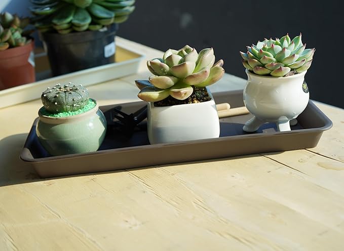VUWEZ 2 Pack Plastic Plant Tray Saucer, Rectangular, Indoors Outdoor, Water Drip Tray for Flower Pot Planter, Windowsill (6 X 11 Inch, Brown)