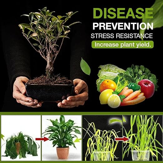 Soil Activator Organic Water-Soluble Soil Improvement Loosening Agent - Boost Root Development & Plant Growth for Vegetables, Flowers, Lawns, Gardens & All Indoor/Outdoor Plants 60g (2PCS)