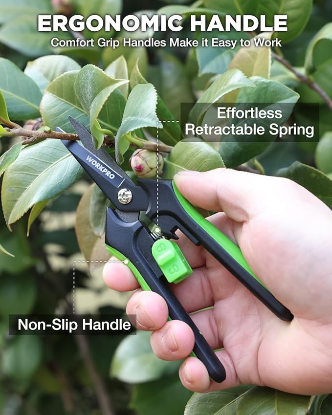 WORKPRO 6-Inch Pruning Shears 2-Pack, Sharp Gardening Scissors for Precise Cuts, High-Carbon Steel Plant Shears with Safety Lock, Garden Clippers for Cutting Flowers, Trimming Plants, Picking Fruits