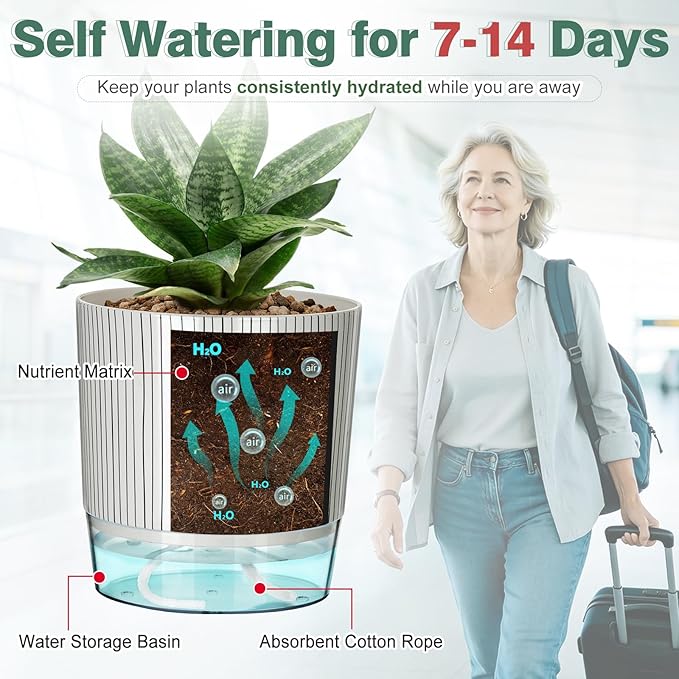 Self Watering Pots for Indoor Plants, 4 and 5.3 Inch, Plastic, Black Stripes, Round, Modern, Tabletop