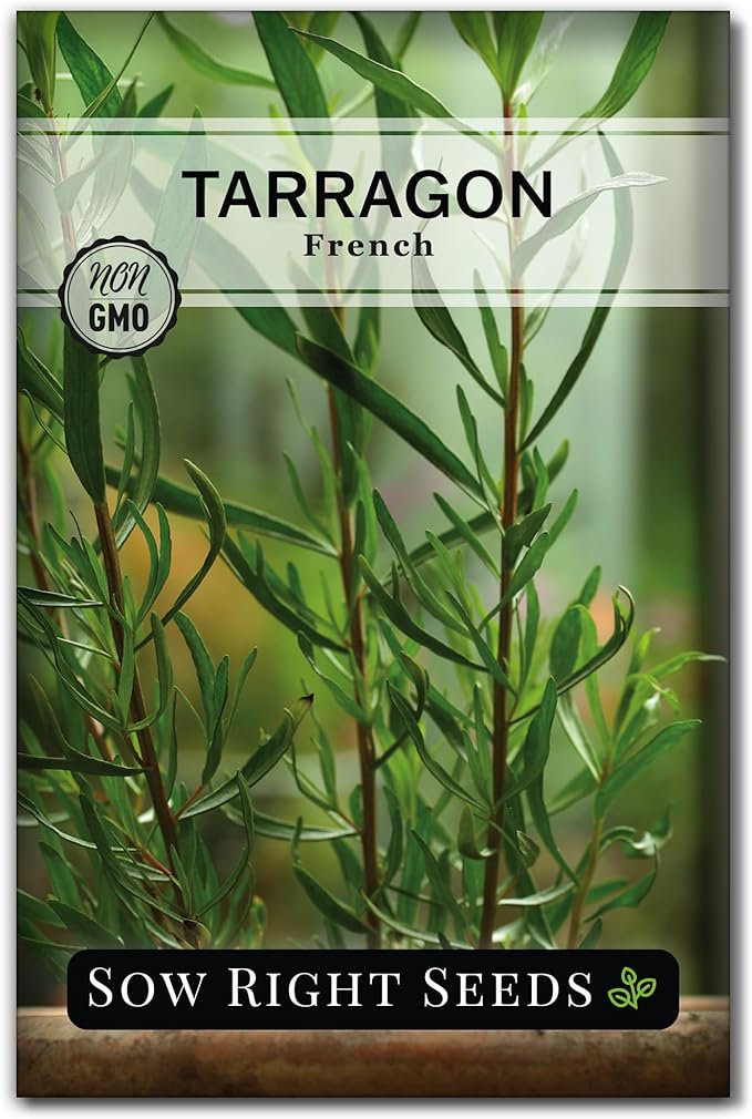 Sow Right Seeds - French Tarragon Seeds for Planting - Non-GMO Heirloom Packet with Instructions to Plant an Outdoor or Indoor Herb Garden - Culinary Leafy Green - Long Lasting Perennial Seasoning (1)