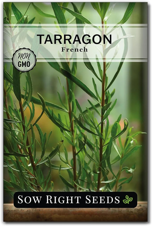 Sow Right Seeds - French Tarragon Seeds for Planting - Non-GMO Heirloom Packet with Instructions to Plant an Outdoor or Indoor Herb Garden - Culinary Leafy Green - Long Lasting Perennial Seasoning (1)
