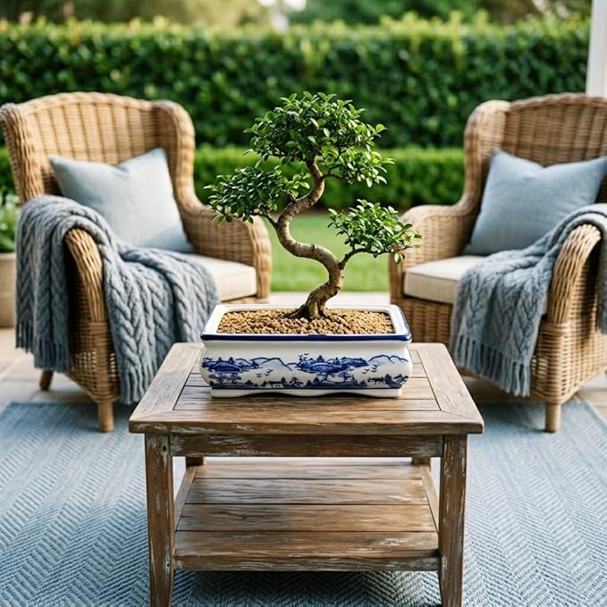 Blue and White Ceramic Bonsai Pot Large Shallow Bonsai Trees Pot Planter for Outdoor Use, 9" Ceramic Plant Pots with Drainage Hole for Cacti, Orchids, Succulents, Bonzie Tree Pots for Patio, Garden
