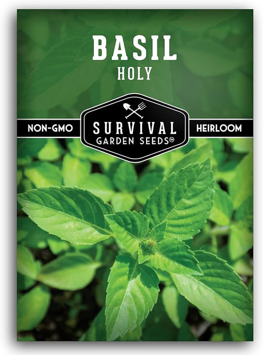 Holy Basil Seed for Planting - Indian Sacred Herb Tulsi Seeds to Grow in Your Home Vegetable Garden - Non-GMO Heirloom Variety - Survival Garden Seeds (1 Pack)