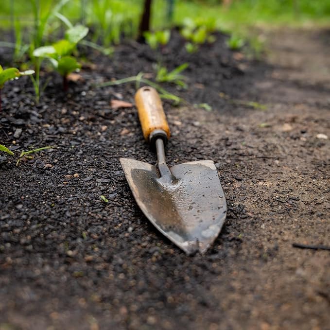 HARFINGTON Garden Hand Shovel 12 x 3.3 Carbon Steel Planting Trowel with Wooden Handle Garden Tools for Gardening Weeding Transplanting