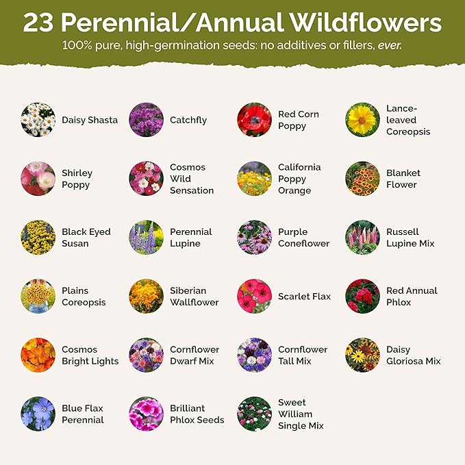 Eden Brothers Maine Wildflower Mixed Seeds for Planting, 1 lb, 480,000+ Seeds with Lupine, Cornflower | Attracts Pollinators, Plant in Spring or Fall, Zones