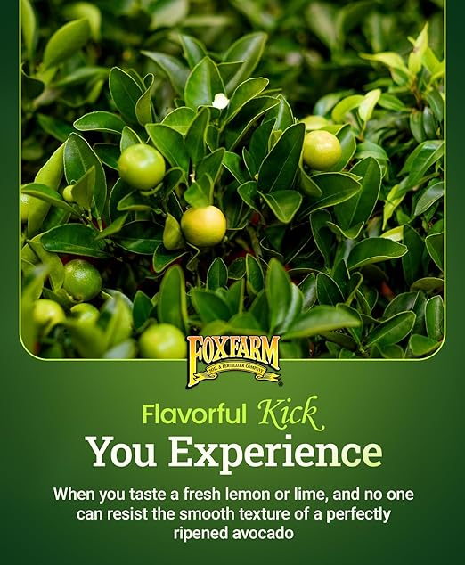 FoxFarm Happy Frog Citrus and Avocado Fertilizer- OMRI Listed Citrus Fertilizer, Slow-Release Nitrogen, Calcium & Sulfur for Citrus & Avocado Trees - 4 lb, Pack of 2