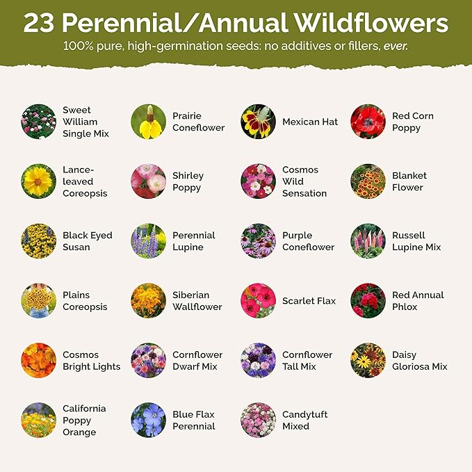 Eden Brothers Kansas Wildflower Mixed Seeds for Planting, 1/4 lb, 120,000+ Seeds with Candytuft, Cosmos | Attracts Pollinators, Plant in Spring or Fall, Zones