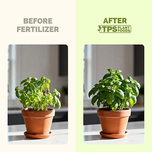 Herb Plant Food – Liquid Fertilizer for All Edible Herbs, Supports Faster Growth, Lush Leaves & Better Flavor, 8 oz