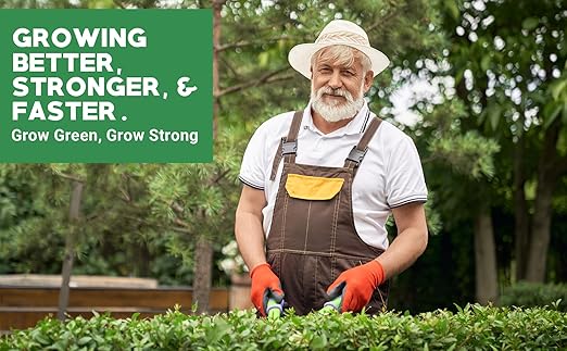 Gardenwise 6-6-6 All-Purpose Professional Plant Food Fertilizer; Ideal for Winter Care & Spring Feeding, Perfect Balanced NPK for Indoor and Outdoor Plants (10 QUARTS)